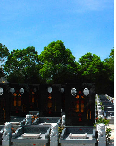 双凤纪念园T076，35800(1