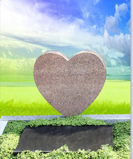 罗汉松乙2区32800